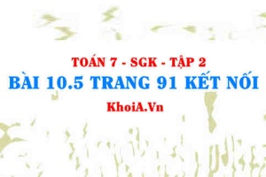 Bài 10.5 trang 91 Toán 7 Kết nối tri thức Tập 2